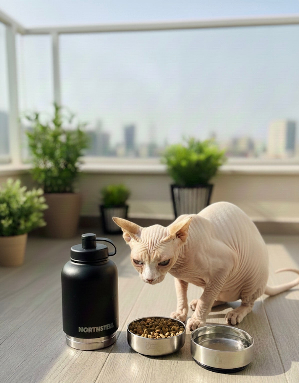 Botella de viaje Northstell® para agua y comida – Sin BPA